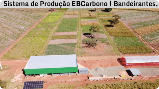 Imagem do Sistema de Produção EB Carbono, Bandeirantes, MS.